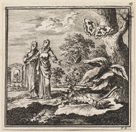 KG 05784
<br/>
De Ryp..
<br/>
<em>Luyken, Jan (1649-1712)</em>